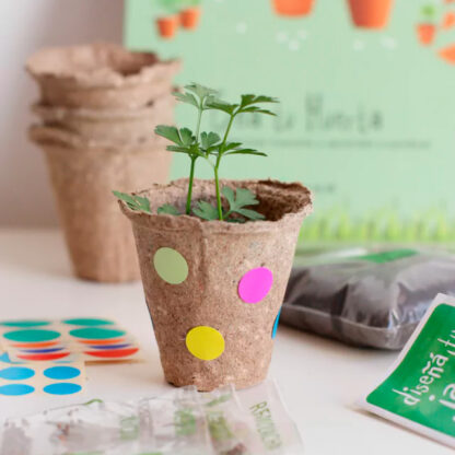 Diseña tu jardin - Imagen 2
