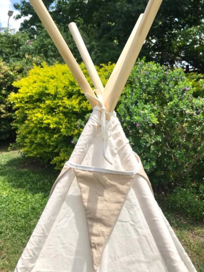 Carpa tipi lisa con vivos de color - Imagen 5